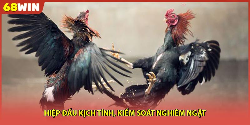 Hiệp đấu kịch tính, kiểm soát nghiêm ngặt