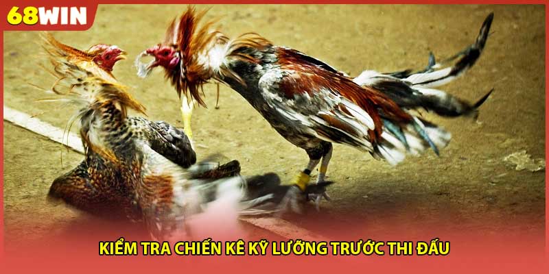 Kiểm tra chiến kê kỹ lưỡng trước thi đấu