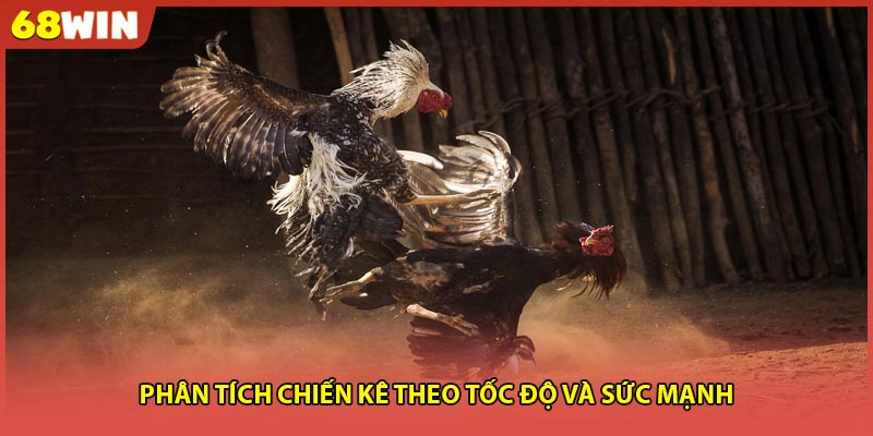 Phân tích chiến kê theo tốc độ và sức mạnh