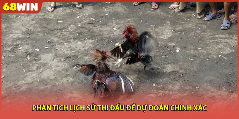 Phân tích lịch sử thi đấu để dự đoán chính xác