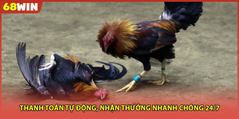 Thanh toán tự động, nhận thưởng nhanh chóng 24/7